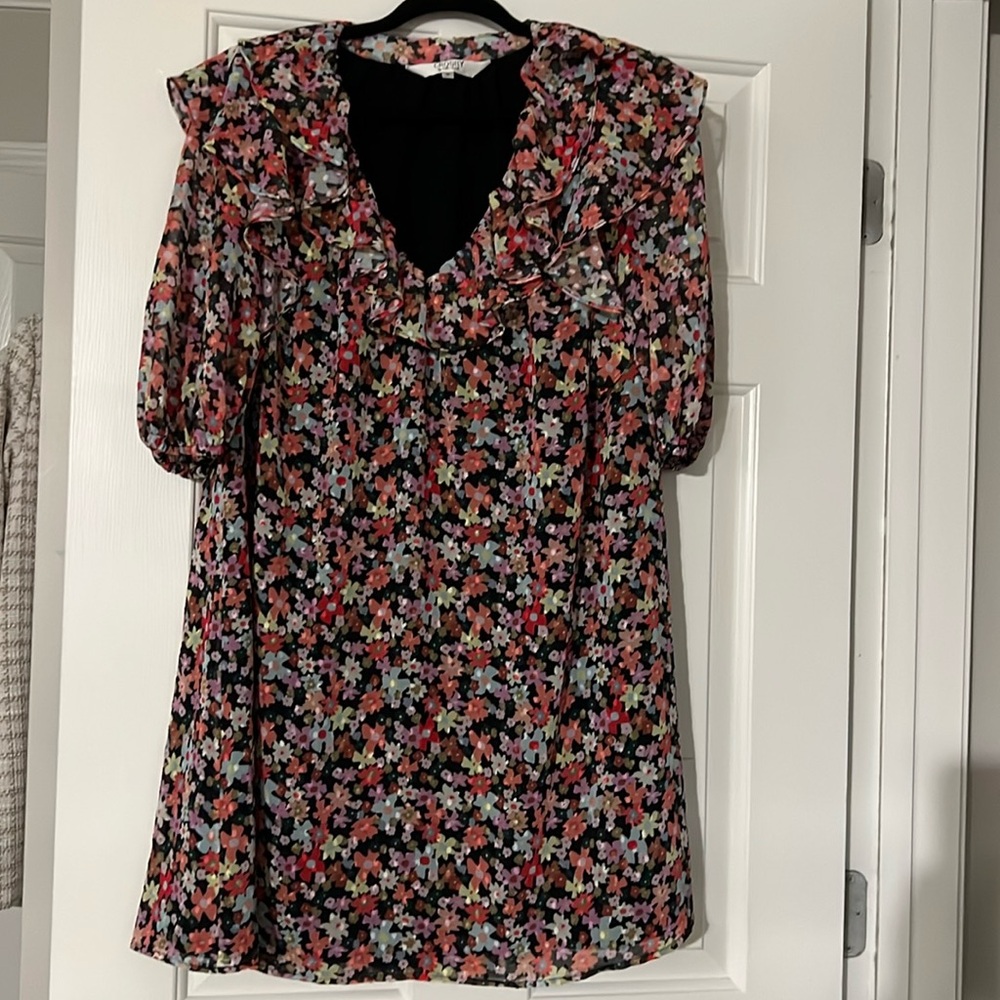Crosby by mollie Burch dress